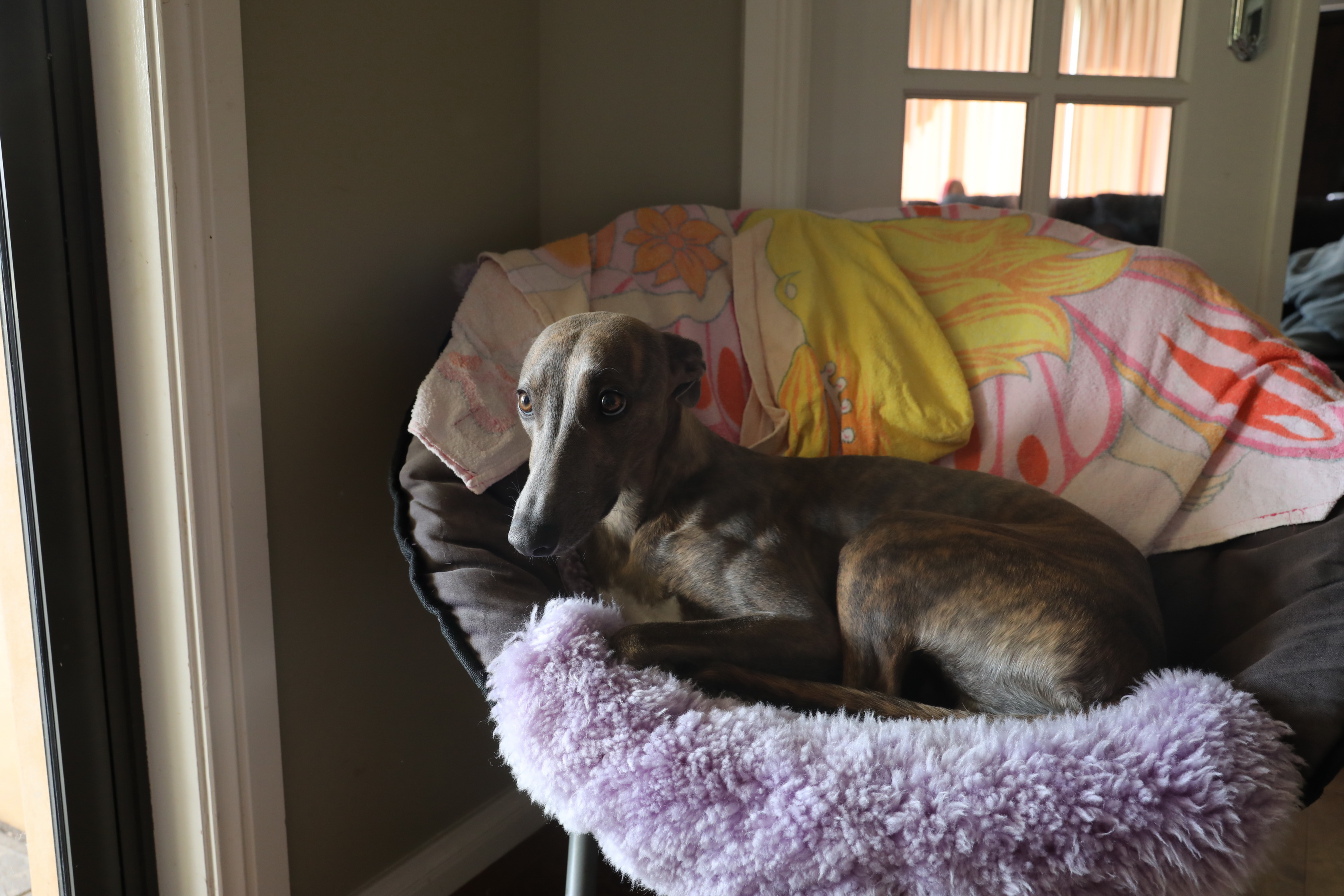 2020 01 26 11 03 14 Canon EOS 5D Mark IV 0046